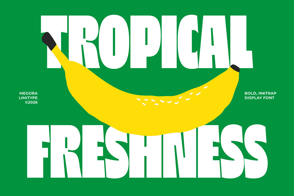 Megora - Bold Inktrap Font, a Sans Serif Font by limitype (Photo 2 of 12)