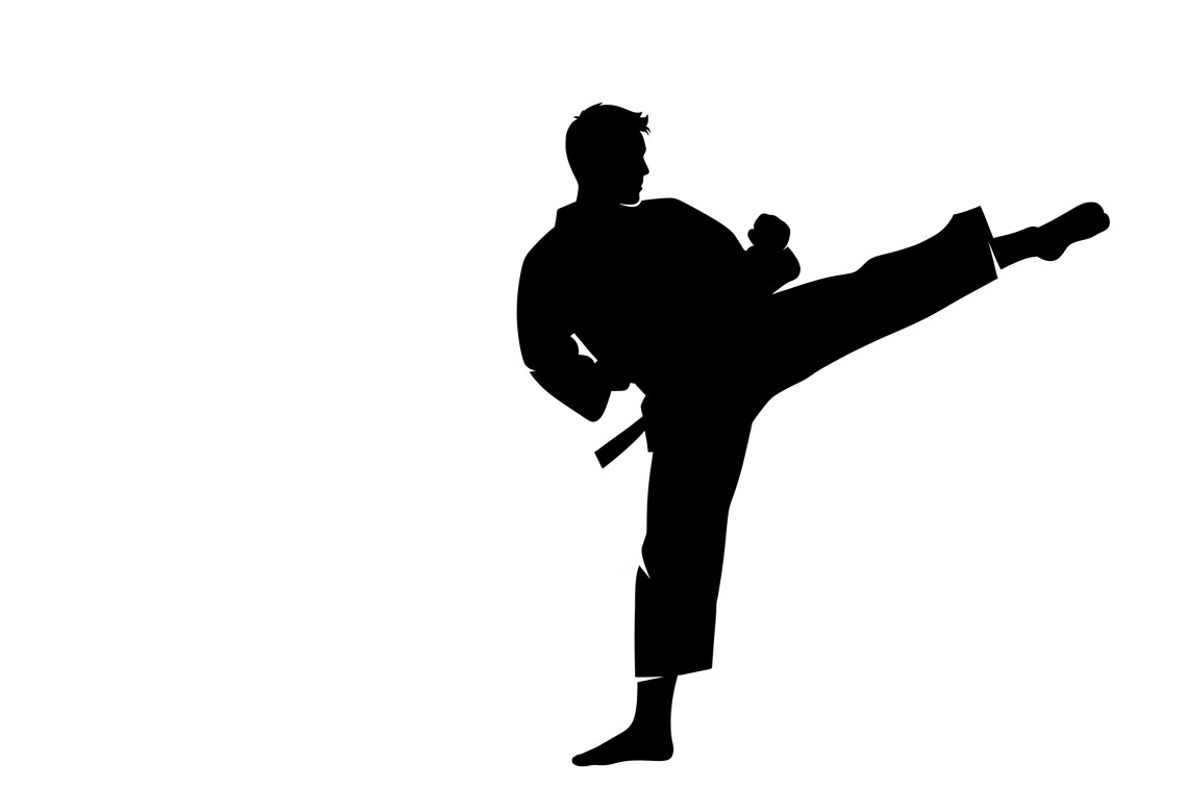 Dynamic martial arts kick silhouette, a Graphic by Amazin_art (Photo 18 of 36)