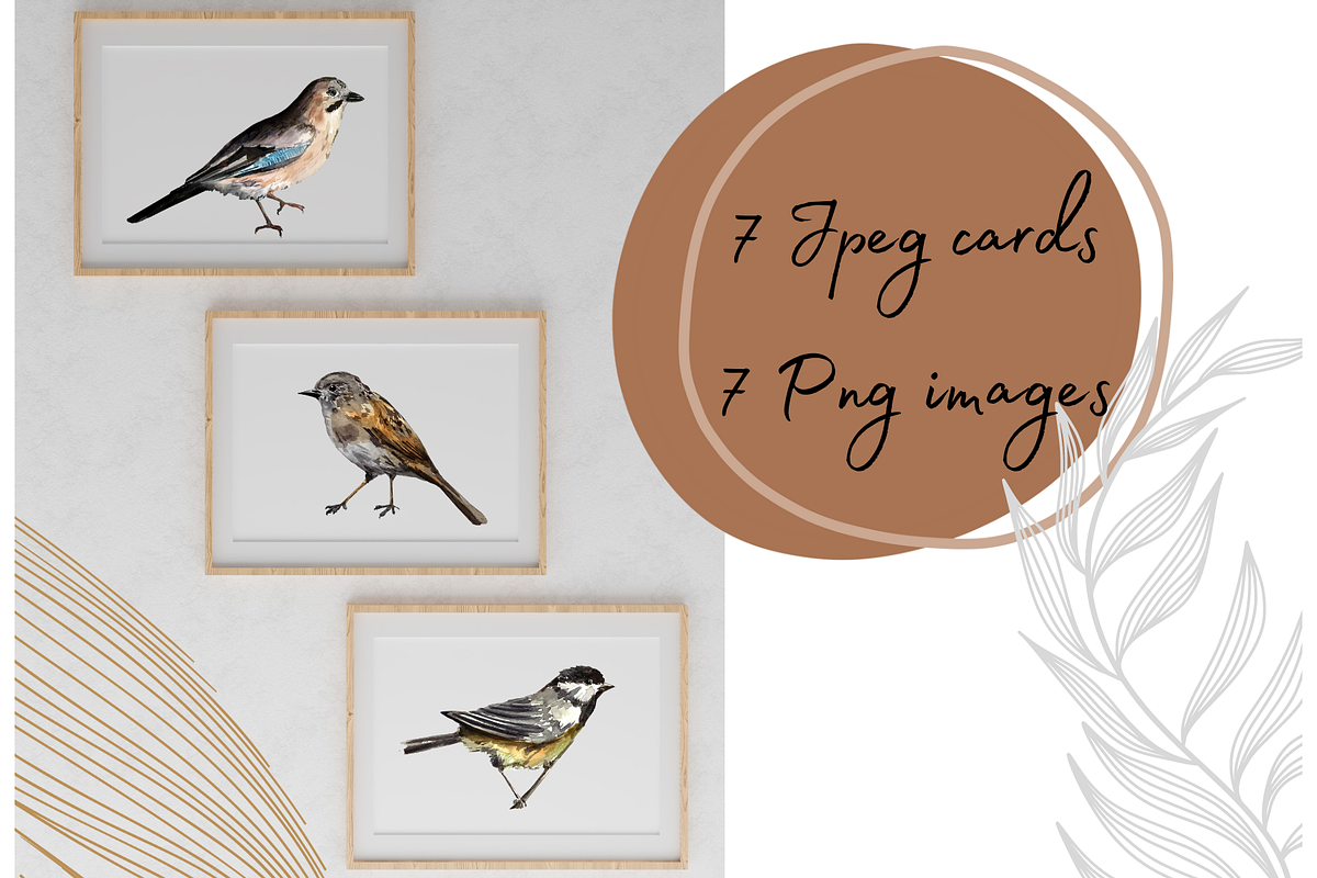 Watercolor Birds Clip Arts and Cards, an Education Illustration by Tati Bordiu (Photo 5 of 5)