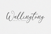 Wallingtong Elegant Script Font, a Script Font by NTC Graphic (Thumbnail 1 of 7)