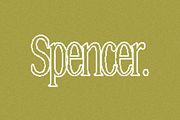 Spencer | A Pixelated Font, a Serif Font by Loryn Ipsum (Thumbnail 10 of 10)