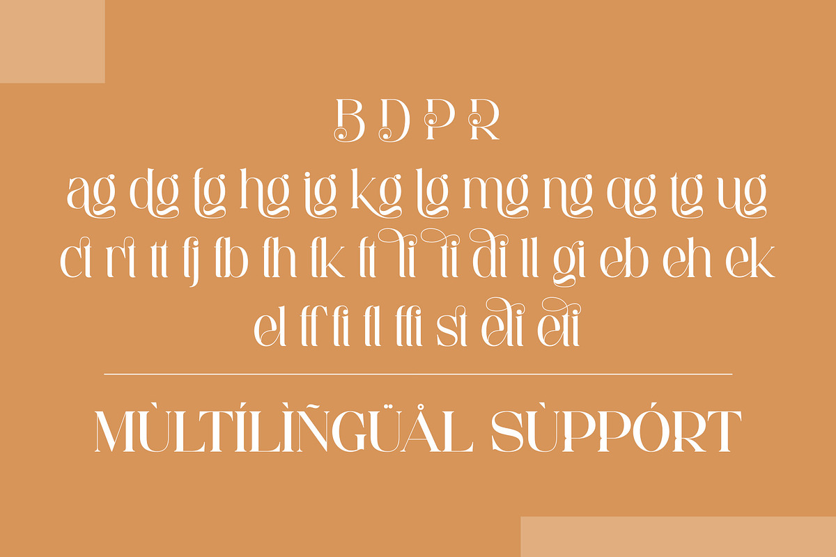 Daeling - Modern Serif Font, a Serif Font by Aqeel_Art (Photo 12 of 12)