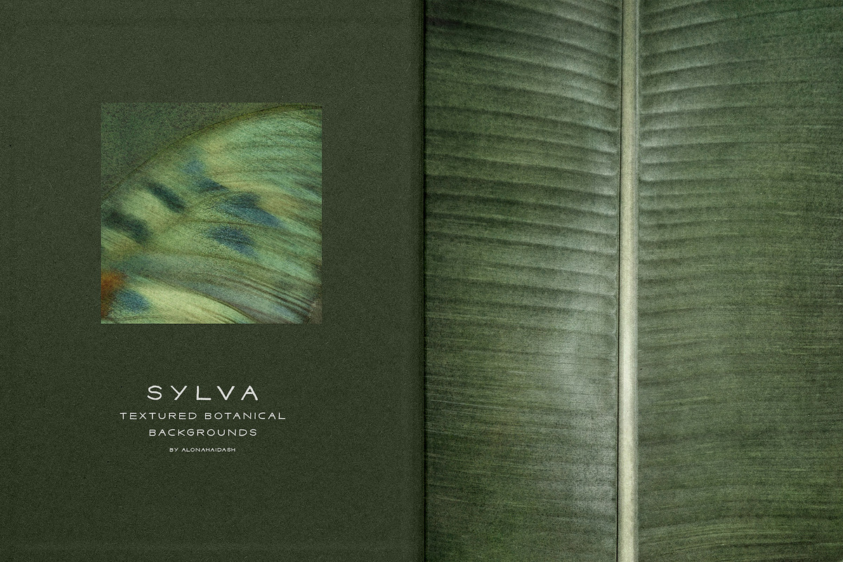 Sylva Textured Botanical Backgrounds, a Background Graphic by alonahaidash (Photo 14 of 15)