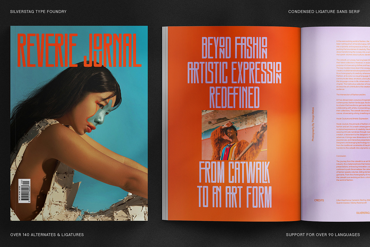 SLTF Snowpack - Ultra Condensed Font, a Sans Serif Font by SilverStag Type Foundry (Photo 12 of 30)