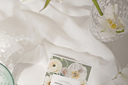 FLORAL WINTER BOX Watercolor Bundle, a Seasonal Illustration by Muse Artist (Thumbnail 11 of 95)
