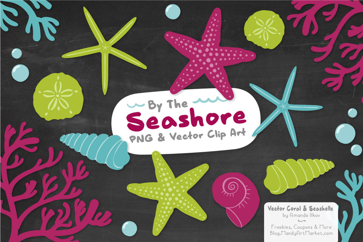 Seashells Clipart in Bohemian, an Illustration by Amanda Ilkov (Photo 3 of 5)