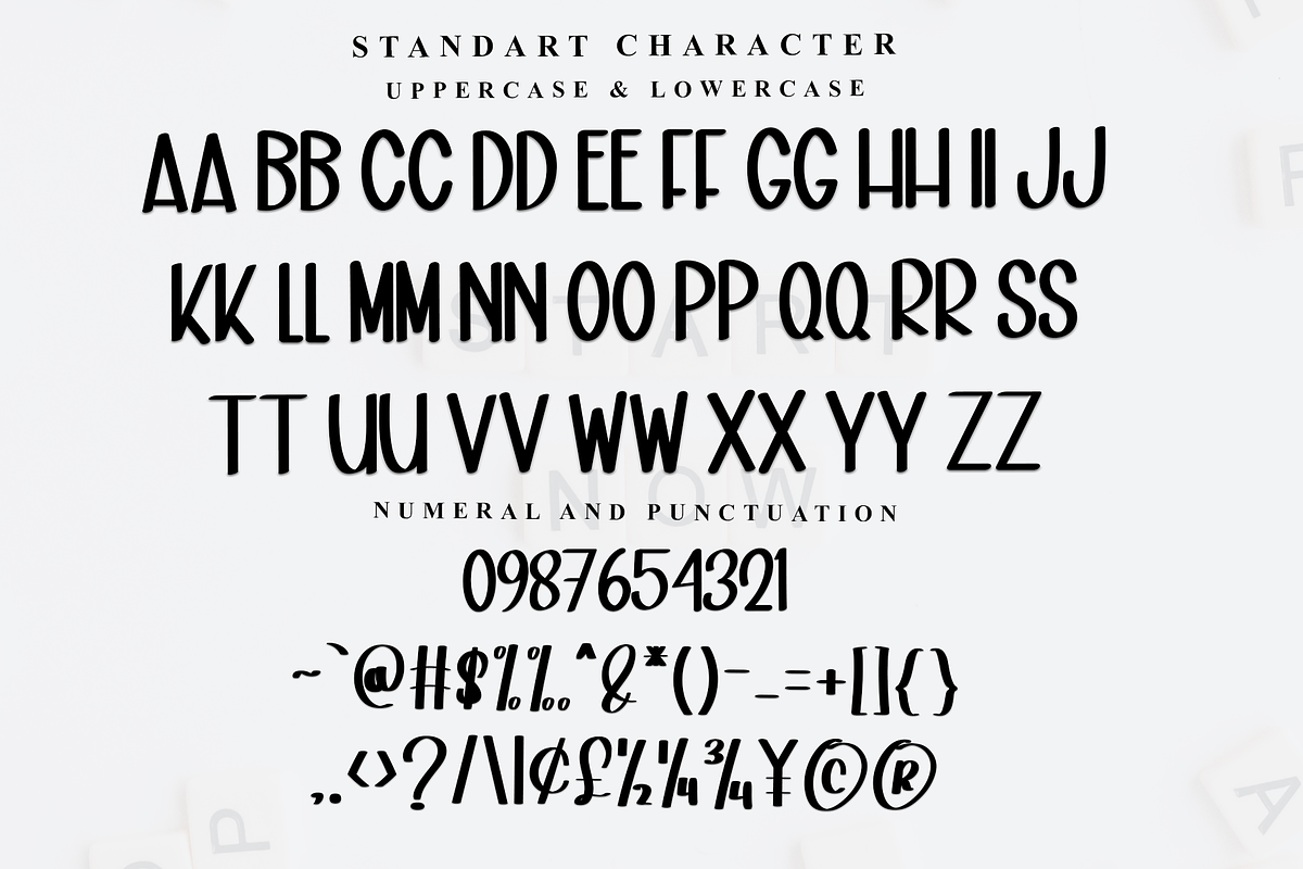 Home Snow, a Handwritten Font by InermediaSTUDIO (Photo 4 of 8)