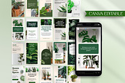 Editable Plant Canva Story Template, a Social Media Template by Snapybiz (Thumbnail 6 of 11)