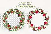 Watercolor red apple brunch clipart, an Illustration by Dina Guiter (Thumbnail 11 of 12)