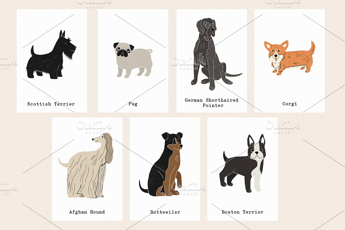 Friends: 23 different dog breeds, an Animal Illustration by Mii Lab (Photo 12 of 13)