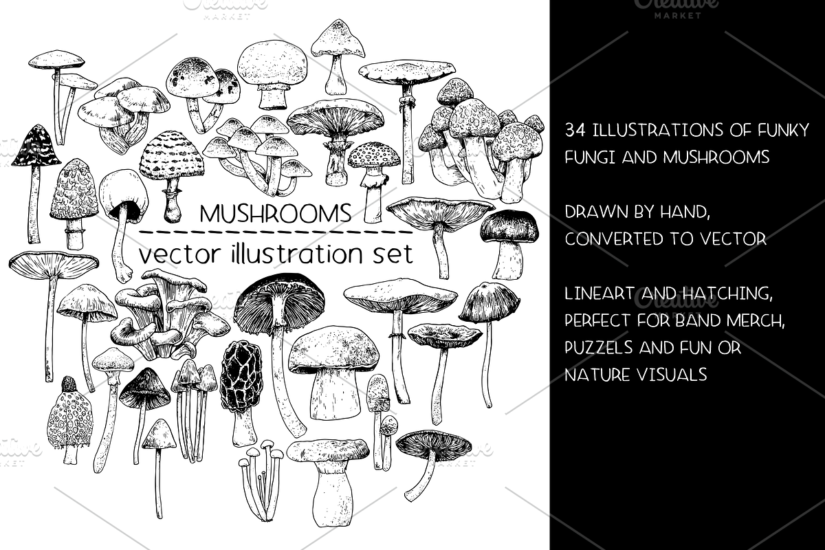 Mushrooms - vector illustration set, a Food Illustration by Renée from Studio neetje (Photo 2 of 6)