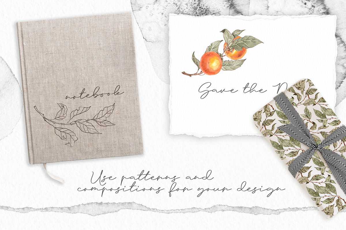 Persimmon Mediterranean ceramic tile, an Illustration by Alamella (Photo 10 of 11)