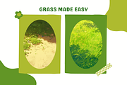 Grass Brushes for Procreate, a Brush Add-On by Cozy Brushery (Thumbnail 4 of 7)