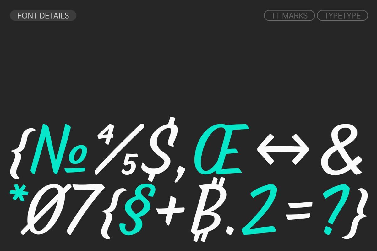 TT Marks, a Script Font by TypeType (Photo 7 of 12)