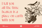 Meave, a Serif Font by Eotype Studio (Thumbnail 4 of 12)