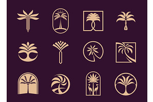 Tropical summer palm beach tree, an Object Illustration by Vector Tradition