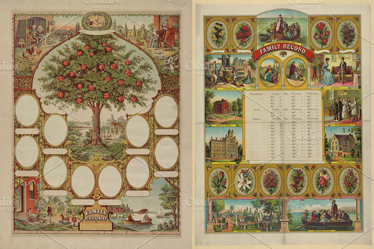 Antique Family Records - Blank, an Illustration by Blue Line Design (Photo 2 of 10)