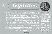 Burgie, a Blackletter Font by alit design (Thumbnail 11 of 18)