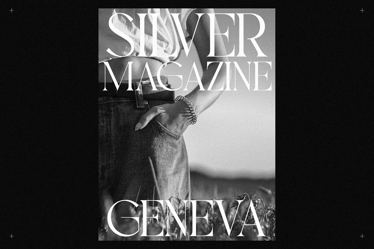 Pavilion - Elegant Display Serif, a Serif Font by spectertype (Photo 3 of 11)
