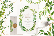 Greenery, foliage & climbing plants, an Illustration by Pamyatka Shop (Thumbnail 5 of 6)