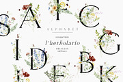 l'Herbolario - Wild Floral Graphics, an Illustration by studioequinox (Thumbnail 11 of 14)