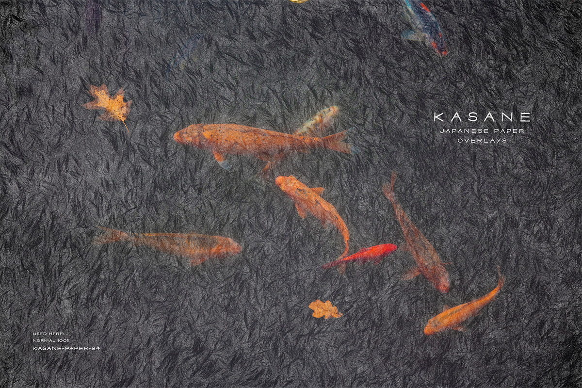 Kasane - Japanese Paper Overlays, a Texture Graphic by alonahaidash (Photo 2 of 18)