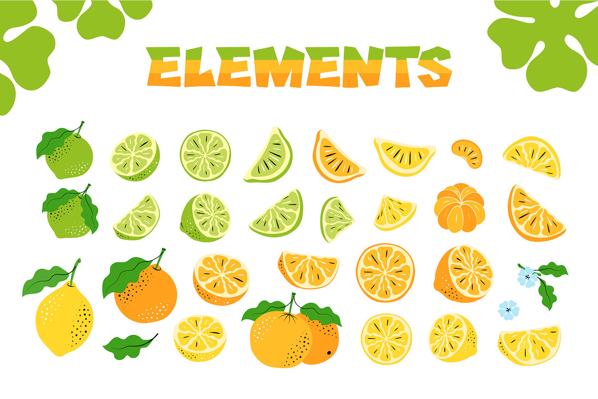 Hand-Drawn Citrus Vector Design Set, a Food Illustration by Lettering_Logo (Photo 6 of 11)