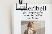 Perfect Challenge Serif Family, a Serif Font by Mulkan Nazir (Thumbnail 14 of 22)