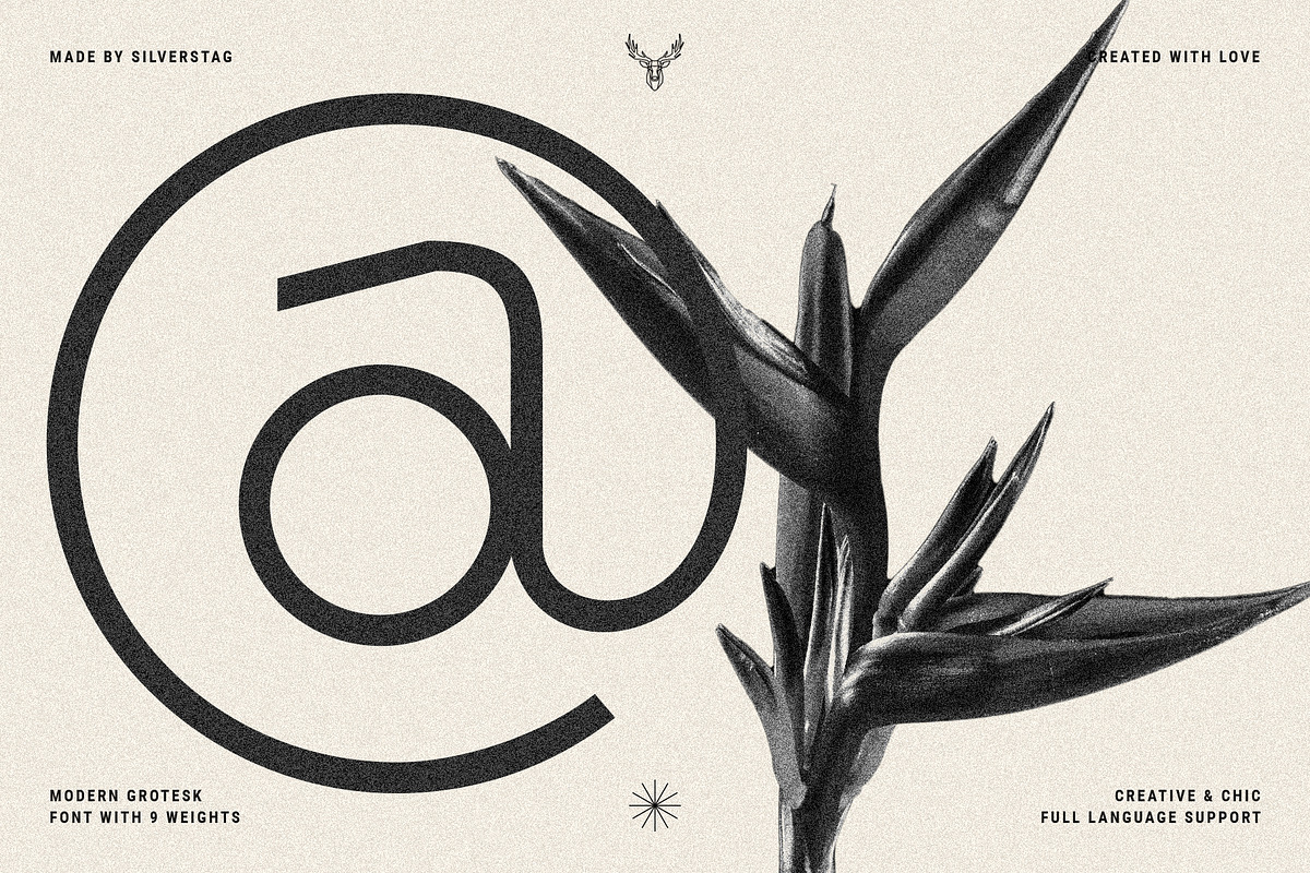 Baroque Grotesk - Ligature Rich Font, a Sans Serif Font by SilverStag Type Foundry (Photo 2 of 20)