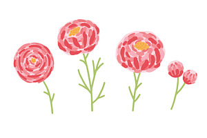 Pink peonies flower set isolated, an Object Illustration by Nadzin
