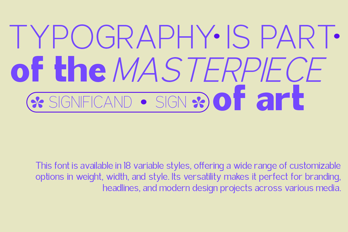 Attractive Variable (18 Fonts), a Serif Font by IM Studio (Photo 9 of 12)