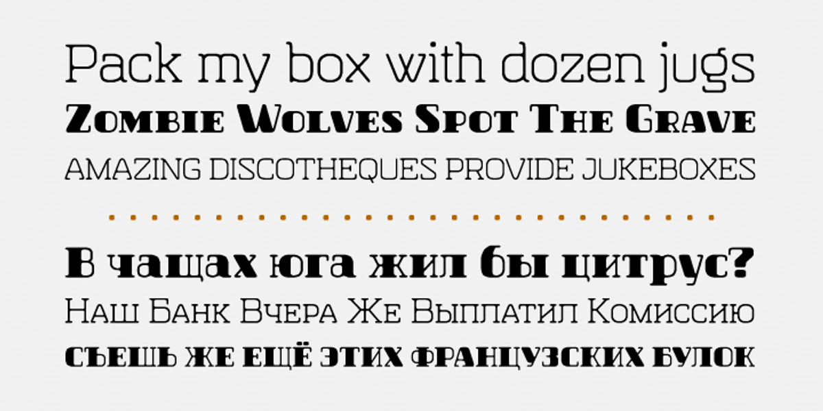 Hazelnut Pro, a Serif Font by Eimantas Paskonis (Photo 3 of 5)