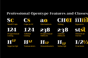 Qualitype Neo, a Serif Font by BULENT YUKSEL (Thumbnail 13 of 28)