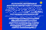 Sark Rebels Display Brush Font, a Script Font by Letterena Studios Script (Thumbnail 10 of 10)