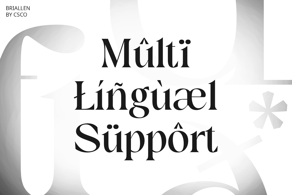 Briallen – Elegant Font, a Serif Font by Craft Supply Co. (Photo 5 of 8)