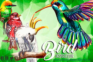 Exotic Birds Watercolor Clip Art