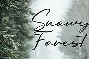 Oriflame Script Fonts, a Script Font by 50Fox (Thumbnail 9 of 10)
