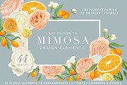 Mimosa Design Set | Oranges + Floral, an Illustration by Relish Designs (Thumbnail 1 of 6)