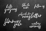 Typographer's Dream Box + 200 Logos, a Script Font by Mats-Peter Forss (Thumbnail 89 of 130)