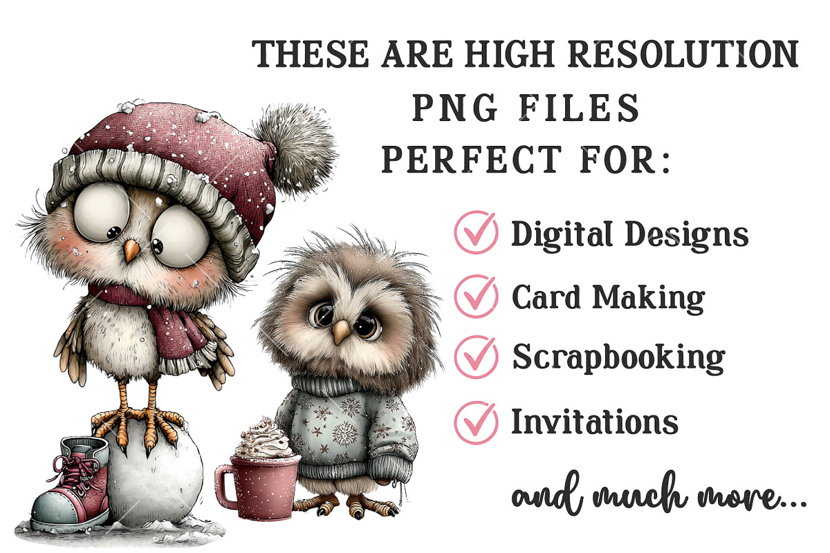 Whimsical Christmas Owl Clipart, an Illustration by OK Design (Photo 5 of 6)