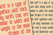 Micelar | Display Slab Serif, a Slab Serif Font by Denustudios (Thumbnail 4 of 15)