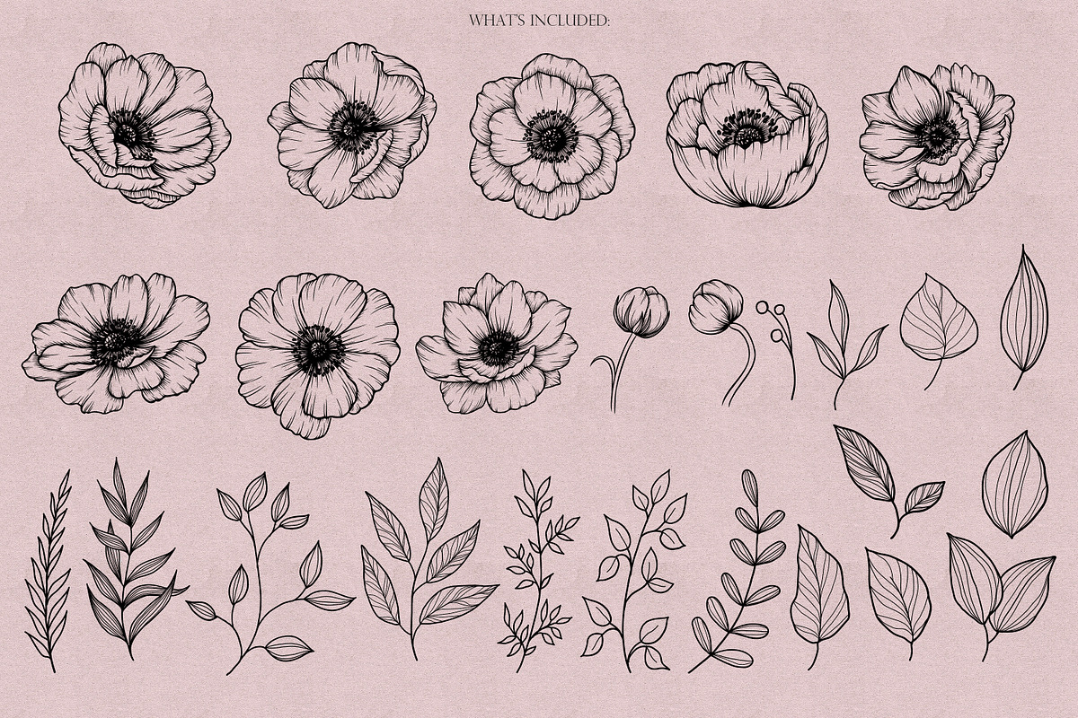 Poppies & Anemones Procreate Stamps, a Brush Add-On by Dervik Art Store (Photo 3 of 9)