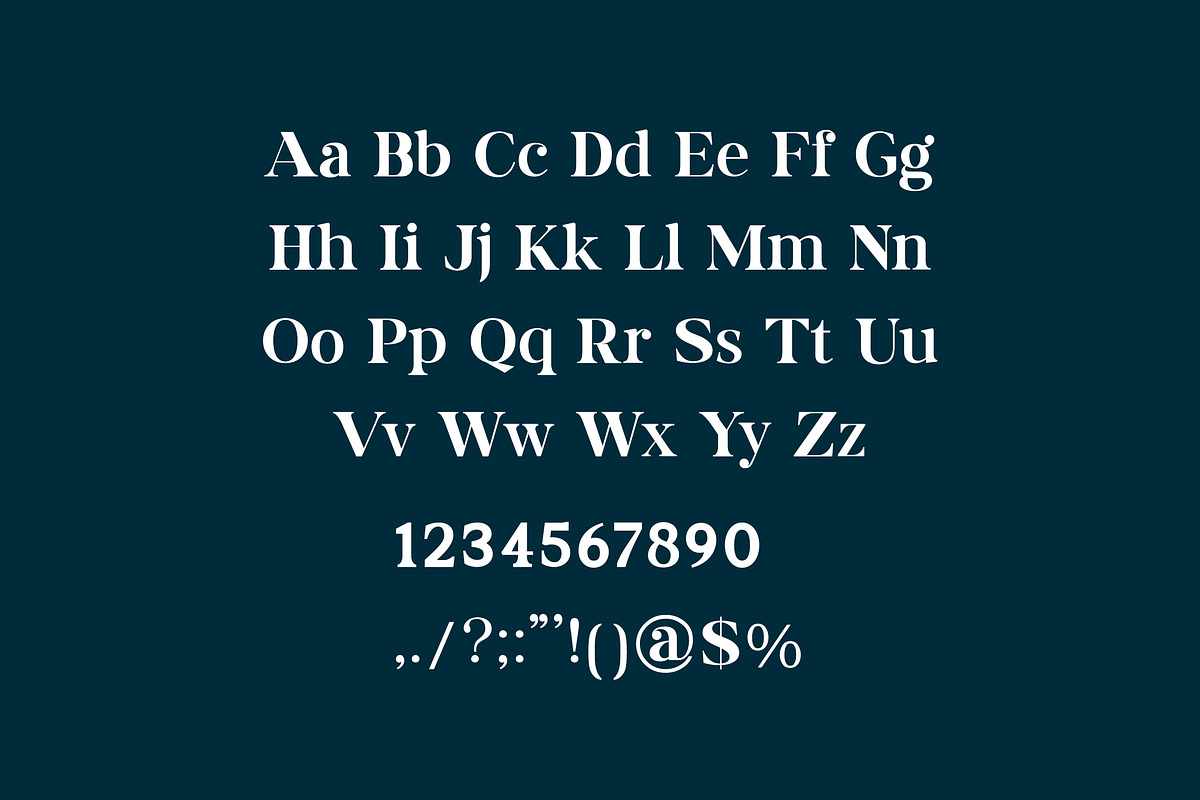 Washington Display Serif Font preview 5