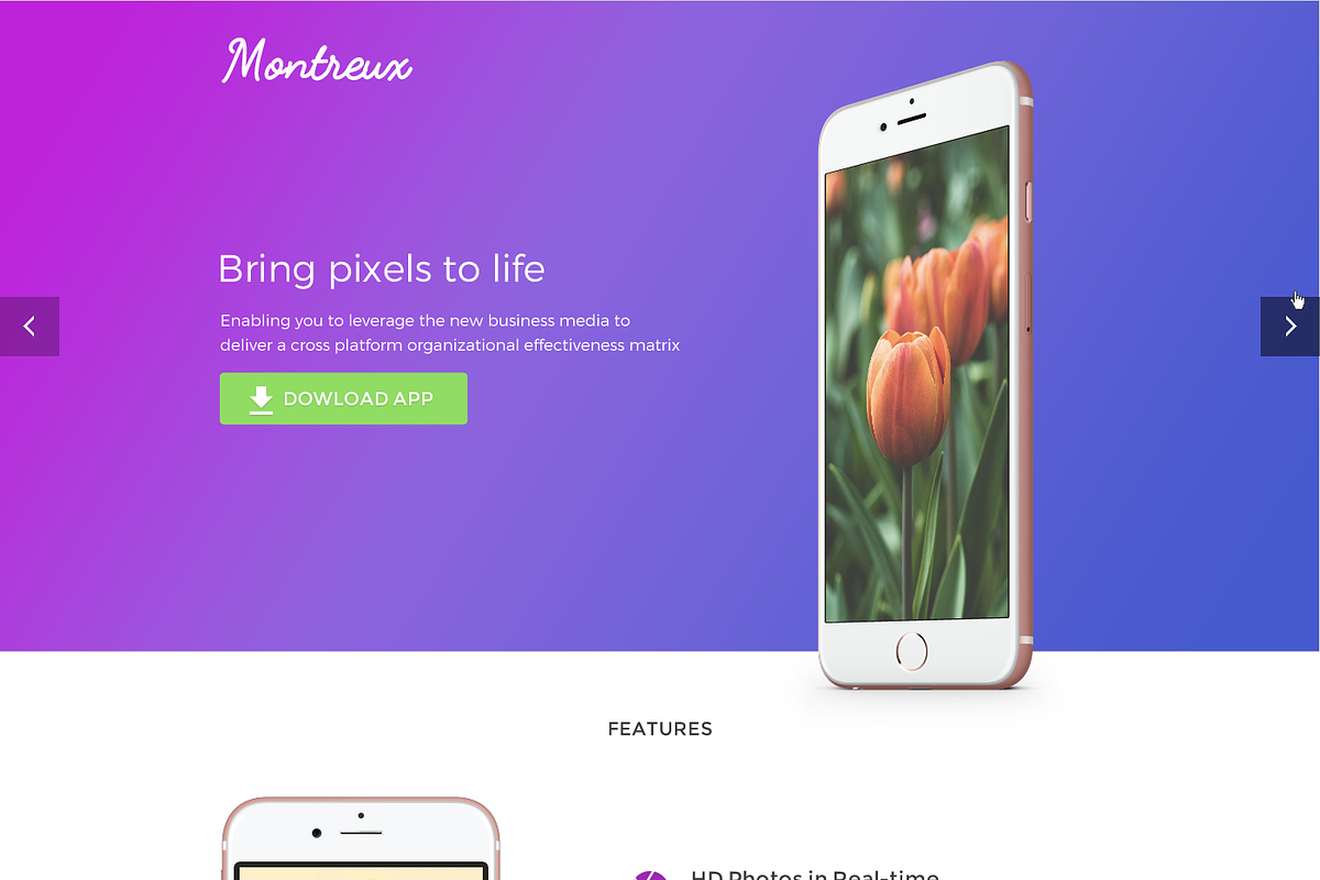 Mobile App Landing Page, an App Template by Apexure Designs