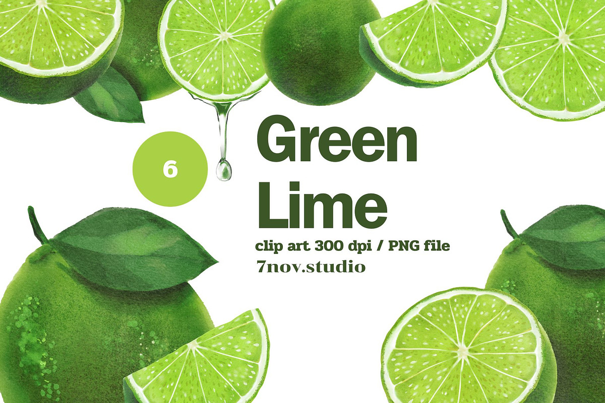 Green Lime, a Food Illustration by 7nov.studio (Photo 1 of 3)