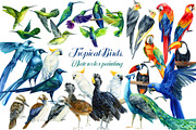 Tropical Birds, Watercolor painting, an Animal Illustration by Hanna Hryharenka (Thumbnail 1 of 13)