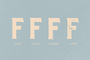 Dalton WoodType Font, a Serif Font by Bart Wesolek (Thumbnail 4 of 8)