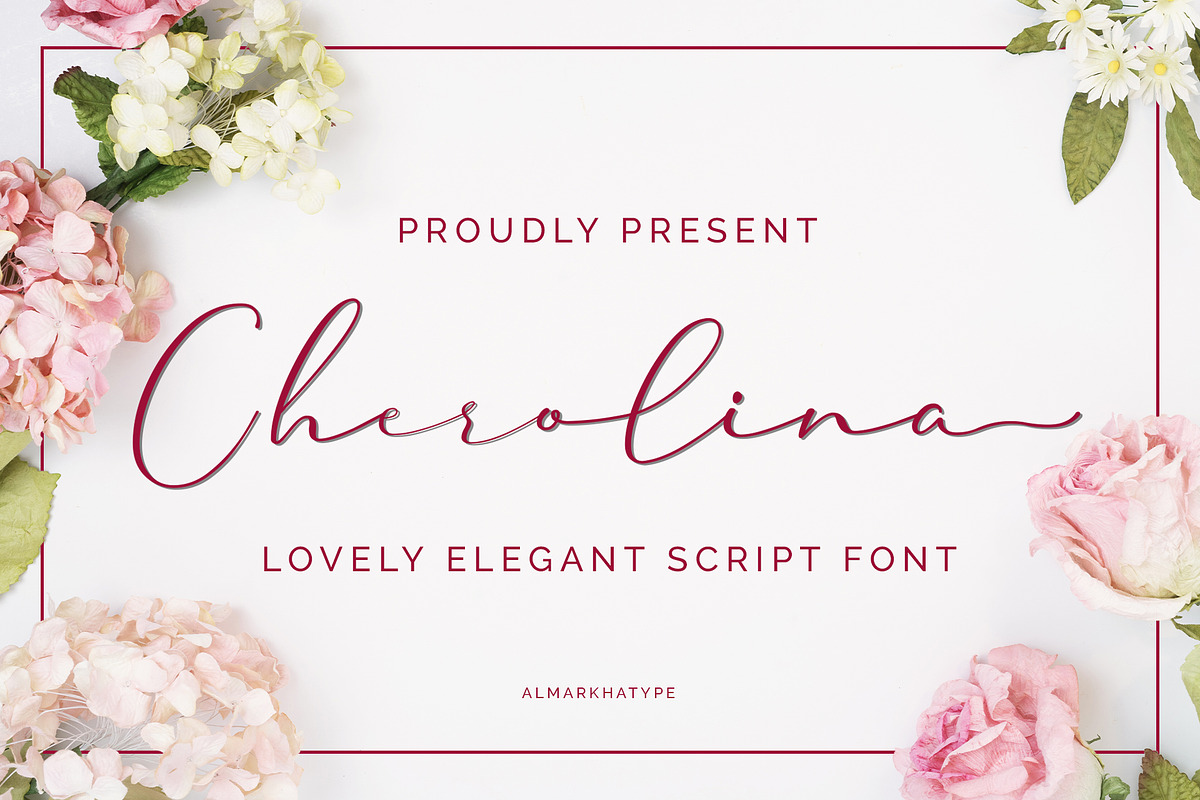 Sale! The Designer Brands Bundle preview 7