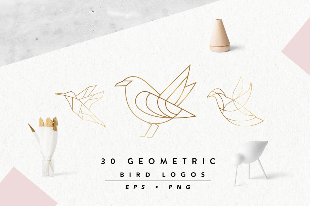 Geometric Bird Logos EPS & PNG, an Outline Icon by Pixejoo (Photo 1 of 8)