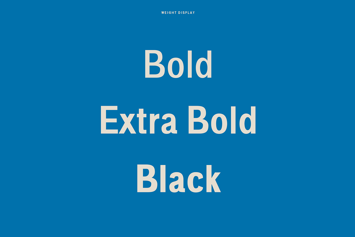Pardo - Modern Type Family preview 3